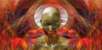 Les Hathor : Être empathique de gratitude