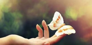 Votre Mission ici sur Terre