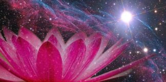 Rêver d’un Avenir Meilleur