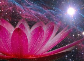 Rêver d’un Avenir Meilleur