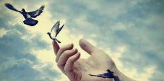 Le Créateur – Avancer dans l’Amour