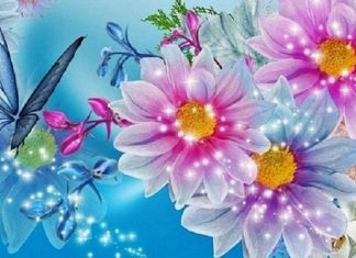 Nous voulons apparaitre dans votre éternité retrouvée, pas dans votre temps, pas dans votre illusion