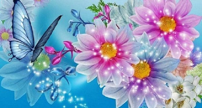 les-couleurs-quete-de-lillumination