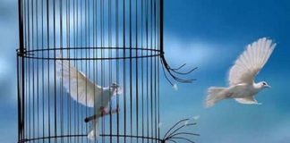 L’Unique – Le bref chaos sera tout sauf oublié