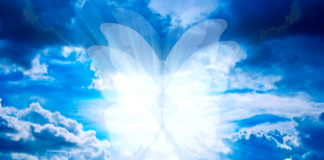 Êtes-vous prêt à voler ?