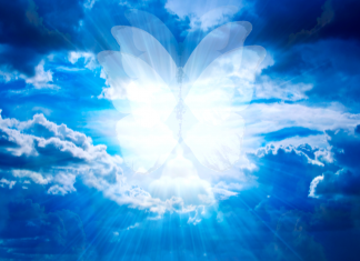 Êtes-vous prêt à voler ?