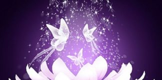 Le Créateur – Que Voulez-Vous Voir ?