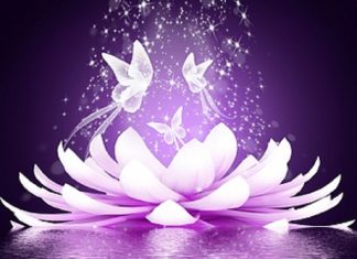 Avant l’Action Sage, Soyez Calme en vous