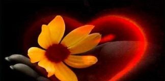 La Fleur Intérieure