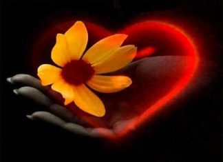 La Fleur Intérieure