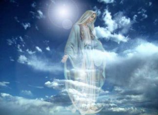 Balle de match ou joueur ?