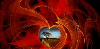 Les Solaires : « Il vous faut changer radicalement les concepts qui sont les vôtres »