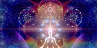 Tout est lié, absolument tout, ne l’oubliez pas…