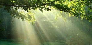 L’intégrité prend le dessus