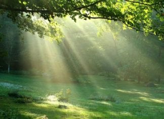 L’intégrité prend le dessus