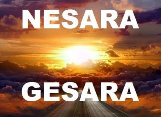 L’Histoire de NESARA