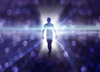 Le Royaume des Fées, les Dimensions Astrales, les Esprits de la Nature et les formes de vie électriques (3ème Partie)