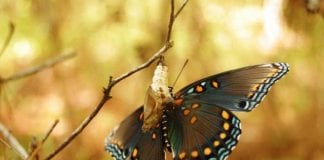 Message aux Travailleurs de Lumière – 30 avril 2021