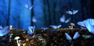 Fais appel à ton énergie de vie divine !