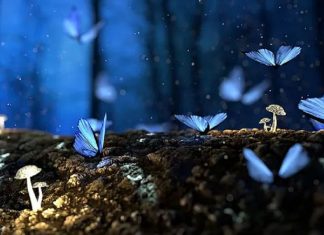 Fais appel à ton énergie de vie divine !