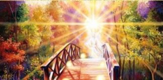 Briller Votre Lumière