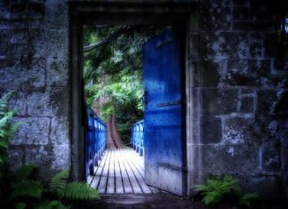 Les quatre premiers mois de 2019 seront énormes pour l’humanité