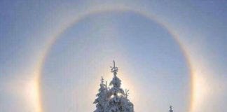 Le Groupe Arcturien : Relation et Abondance