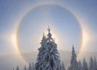 Le Groupe Arcturien : Relation et Abondance