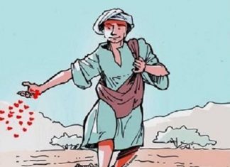 Vous semez ce que vous récoltez, alors choisissez vos semences avec le cœur