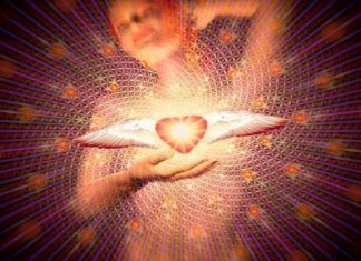 La Dernière Leçon pour les Empathes.