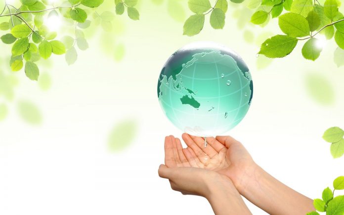 terre-mains-feuilles