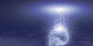 Le Conseil – En réponse à quelques questions – #14