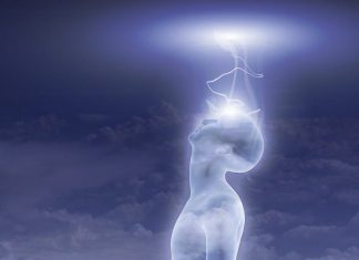 Le Conseil – En réponse à quelques questions – #14