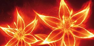 Réveillez votre feu intérieur !