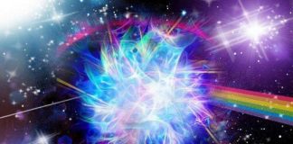 Le Conseil – Le Conflit apparent entre Création/Évolution