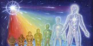 Vous n’allez plus pouvoir reculer…