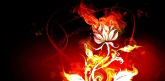 Puissance d’Amour – Grand réveil