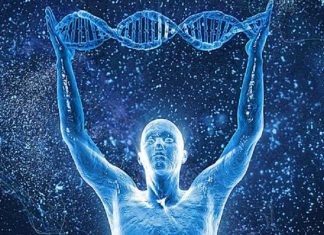 Déverrouillez votre ADN