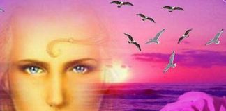 Un merveilleux message pour l’humanité