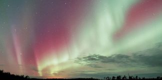 Les civilisations stellaires libres (4/8)