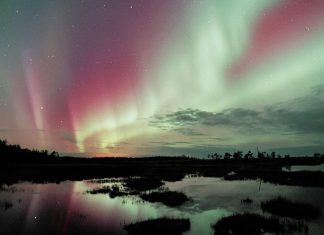 Les civilisations stellaires libres (4/8)