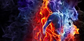 Conscience Évoluée ~ La rencontre des Flammes Jumelles