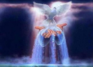 Le Créateur – Que Ce Soit