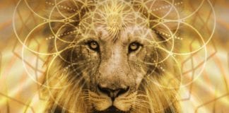 La Terre Mère, Marie, El Morya, les Arcturiens : La Porte du Lion 8/8