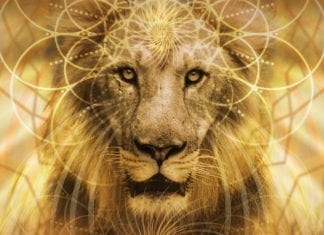 La Terre Mère, Marie, El Morya, les Arcturiens : La Porte du Lion 8/8