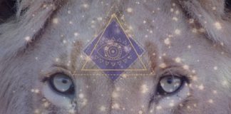 MESSAGE DE LA PORTE DU LION 8.8.2022