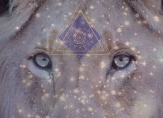 MESSAGE DE LA PORTE DU LION 8.8.2022