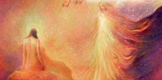 Alors, quel est votre rôle ?