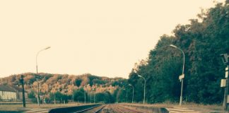 L’humanité se marie, l’Amour est l’enfant