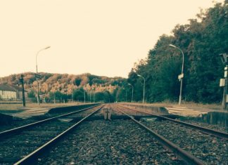 L’humanité se marie, l’Amour est l’enfant